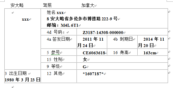 國外駕照翻譯模板